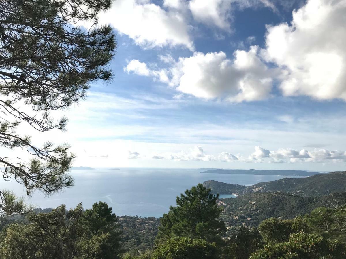 Le Rayol-Canadel-sur-Mer T2 Moderne Avec Jardin 아파트 외부 사진